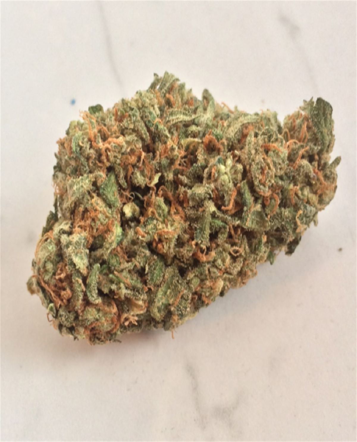 Carman Haze