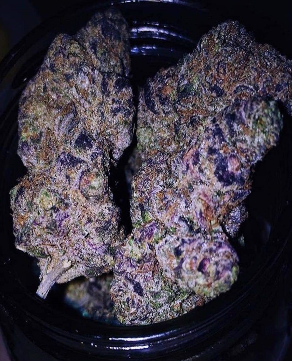 Plushberry