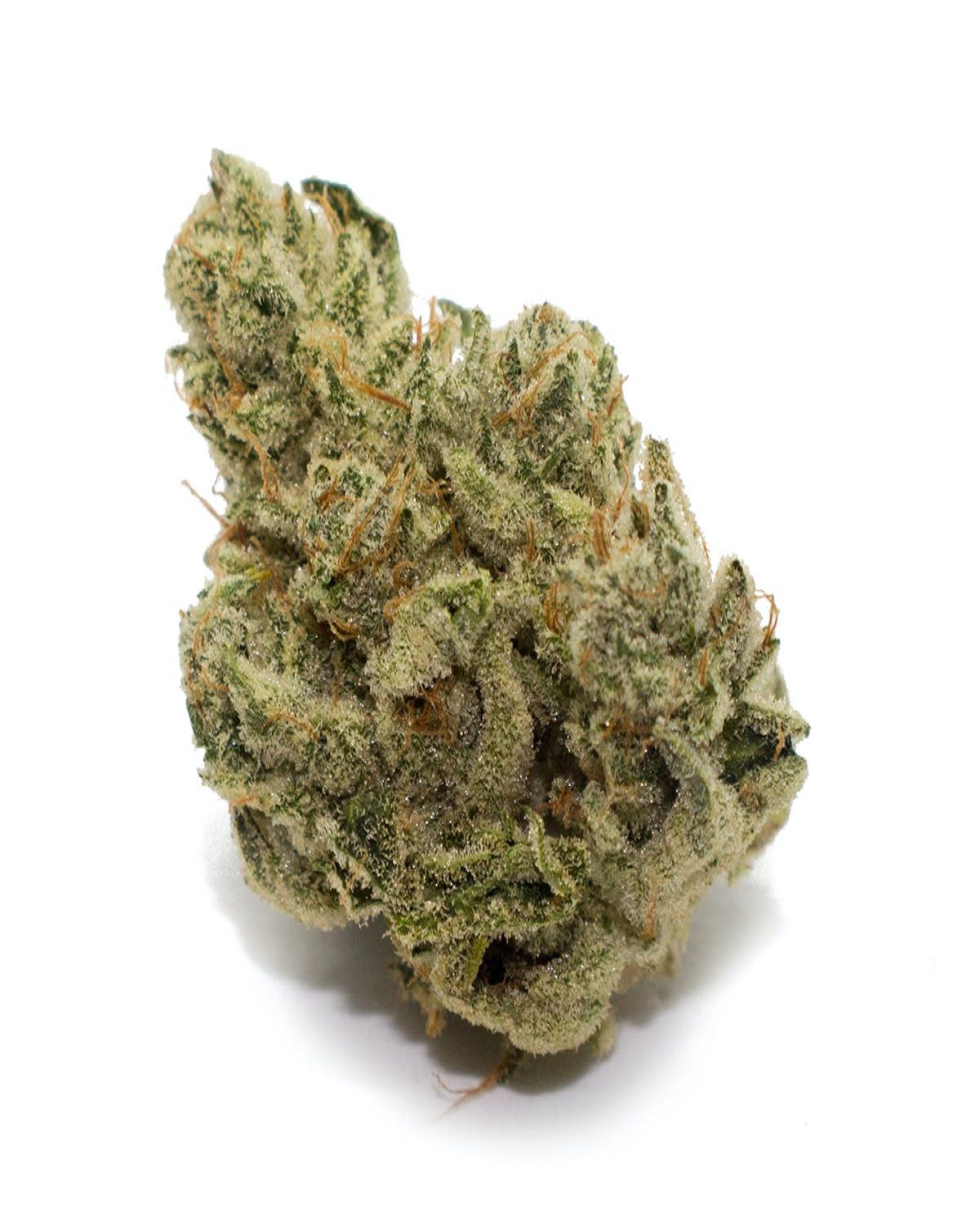 Original Glue