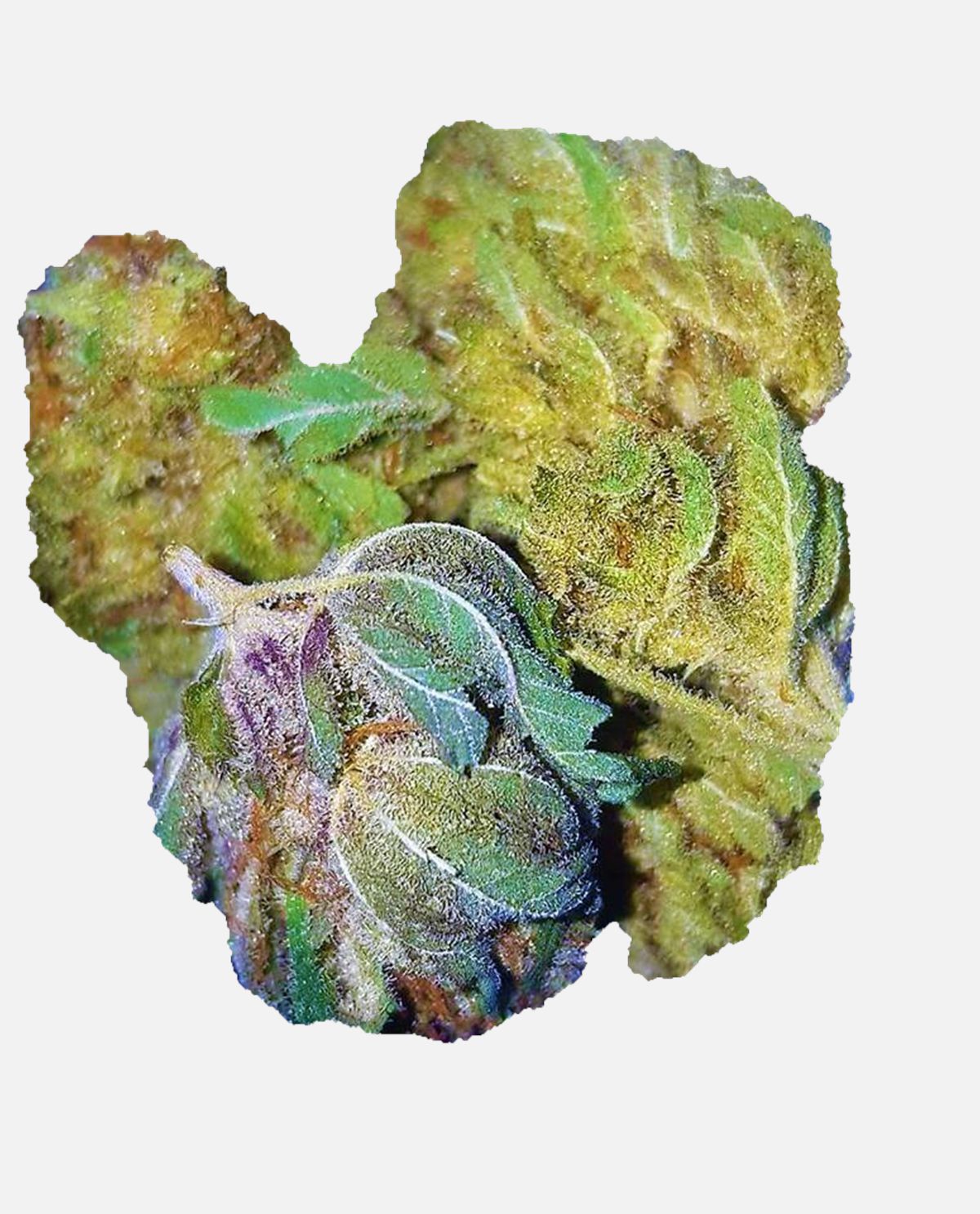 Strawberry Diesel